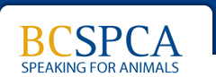 BCSPCA Logo
