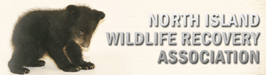 NIWRA logo