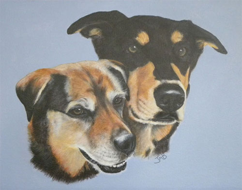  Portrait of Mixed Breed Dogs - Brandy and Stew