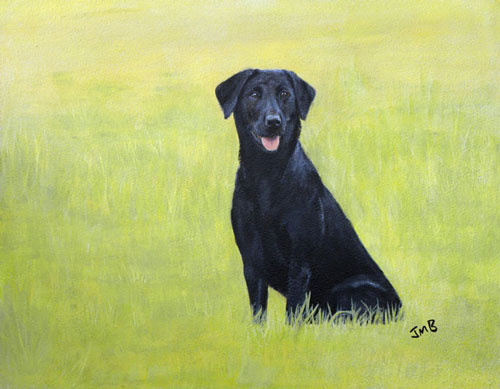 Black Lab, Furai