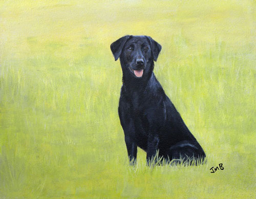 Black Lab, Furai