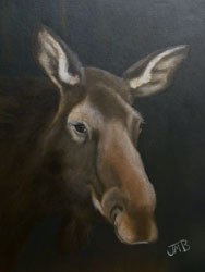 Rocky Mountain Moose