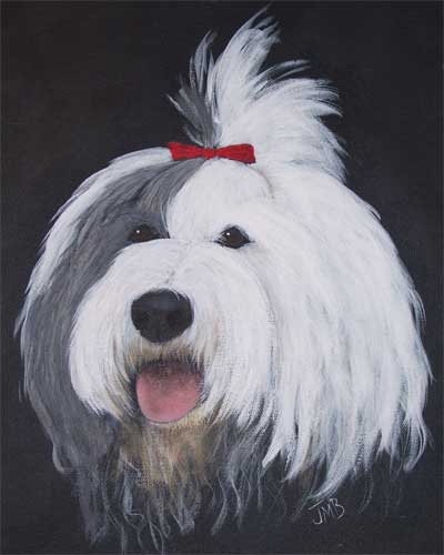  Portrait of Old English Sheepdog - Panda