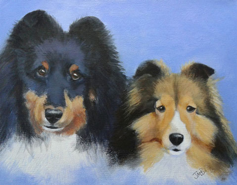 Dog Portrait of Shelties, Ryder & Wynn