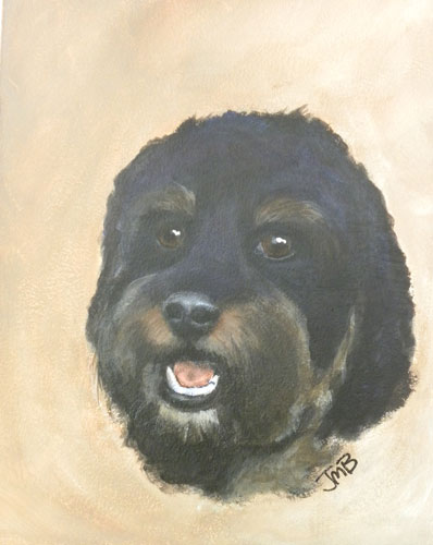  Portrait of Cockapoo - Sam