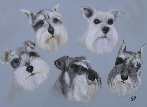  Portrait of Five Schnauzers