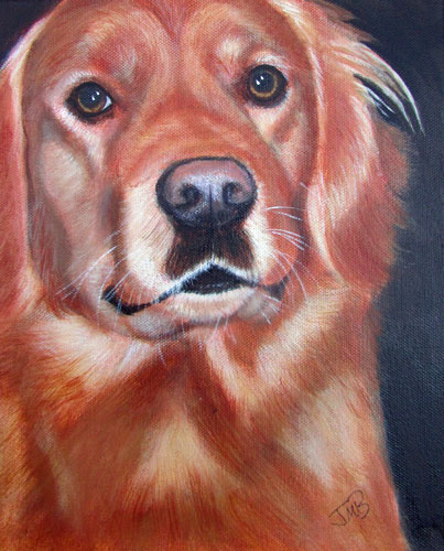 Dog Portrait of Tosh
