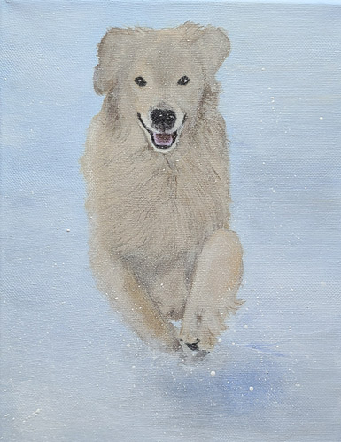 Dog Portrait of Golden Retriever, Vegas