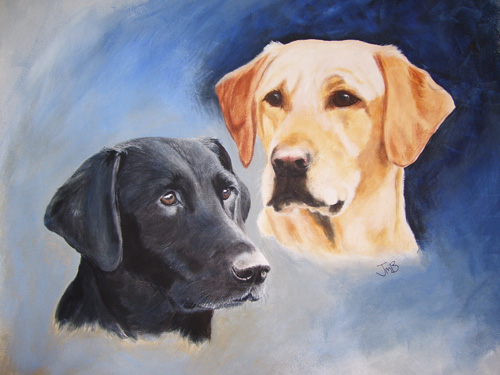  Portrait of Labrador Retrievers - Zoom & Kes